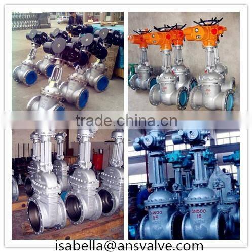 Motorized Gate Valve