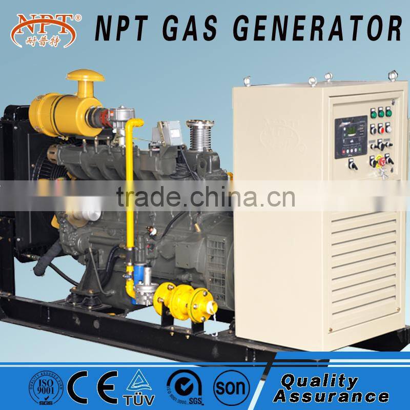 natural gas co-generator