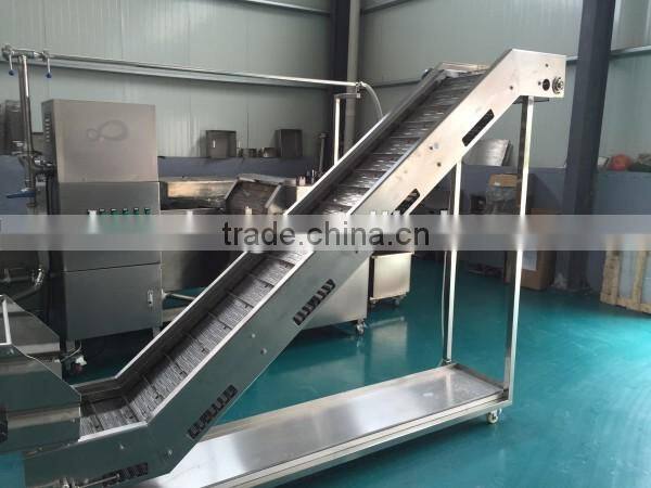 full automatic potato chips production line