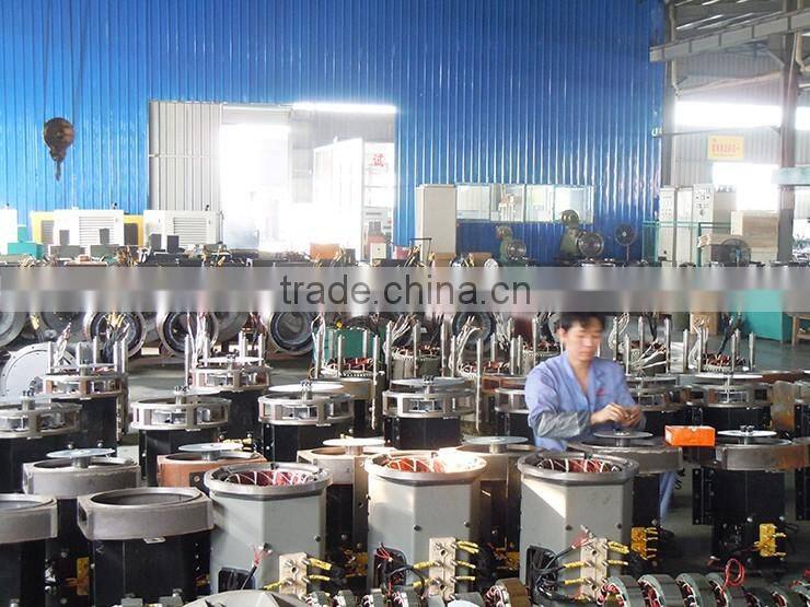 Chinese made 100kw Leroy Somer Brushless Alternator