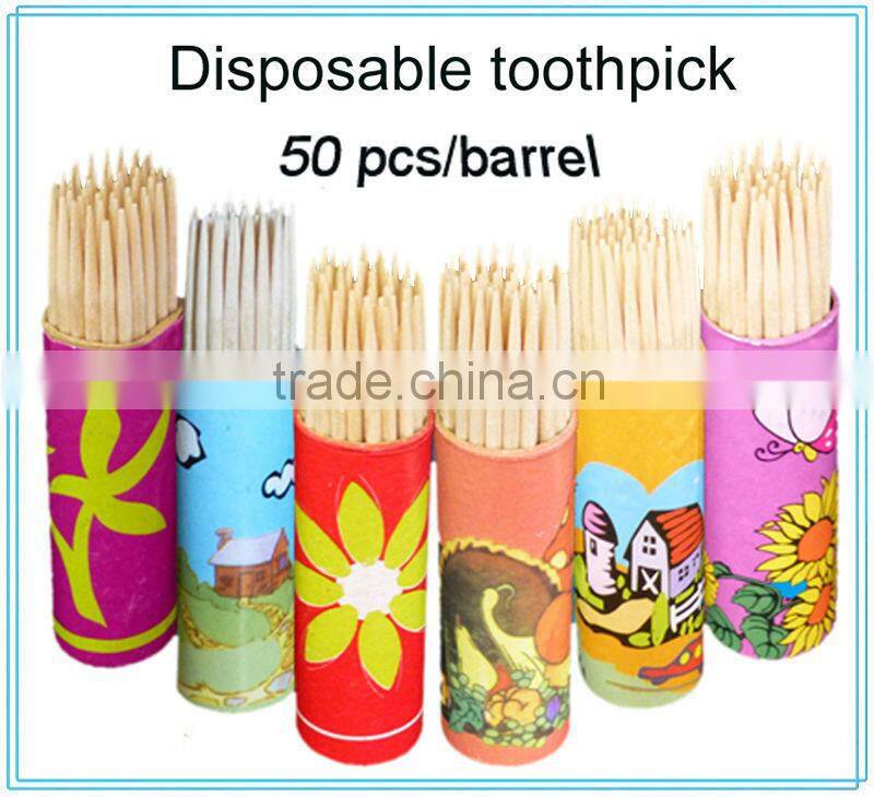 Harbin Toothpick Supplier Bamboo / Wooden Toothpicks packed in Colorful Plastic Toothpick Bottle