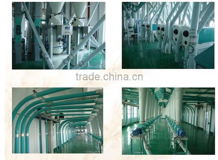 Small Scale 10 Ton Per Day Buckwheat Flour Milling Machine
