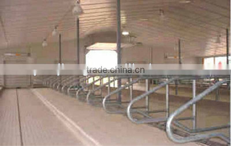 milking system for big farm