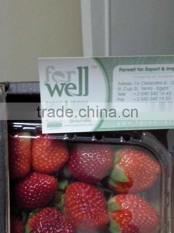 Fresh Strawberry