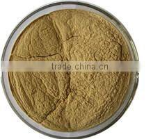 Widely Used in Healthcare Supplement Feild Cucumber Powder Cucumis sativus Powder