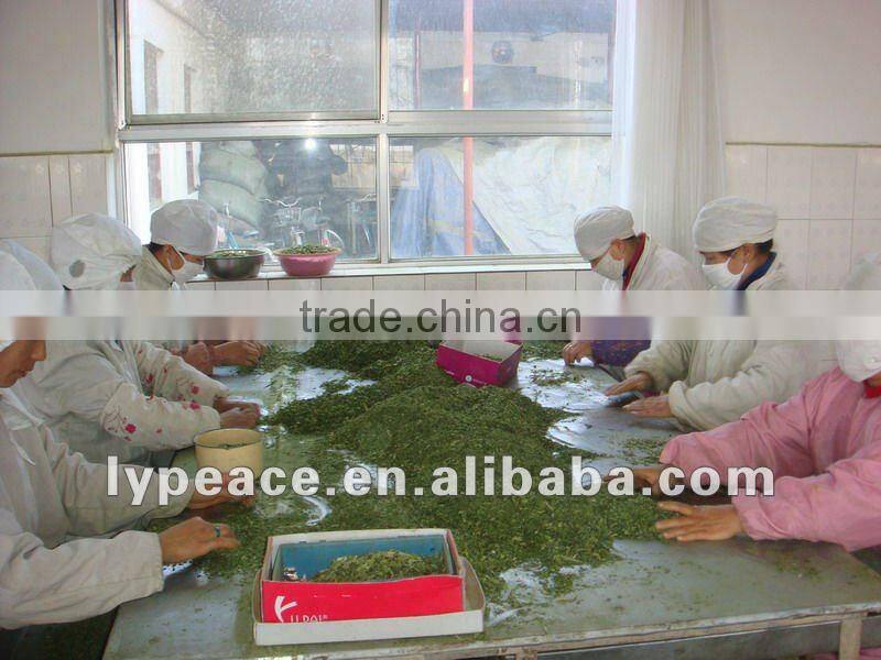 exporting dehydrated spinach powder