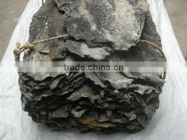 China supplier vigoroot root fertilizer organic fertilizer seaweed fertilizer