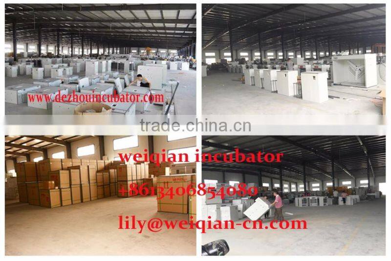 Wholesale prices 48 egg incubator