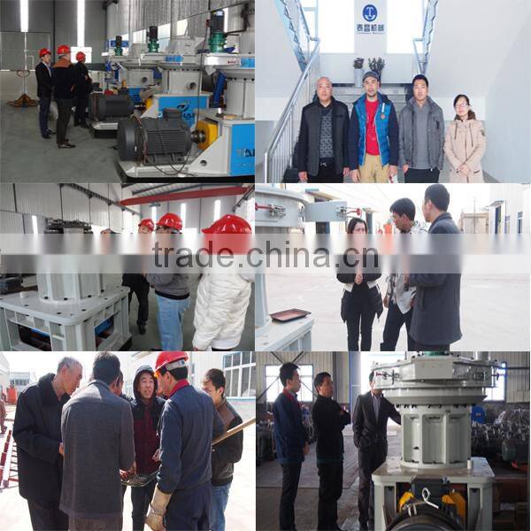 Easy to apply flat die pet food feed pellet machine