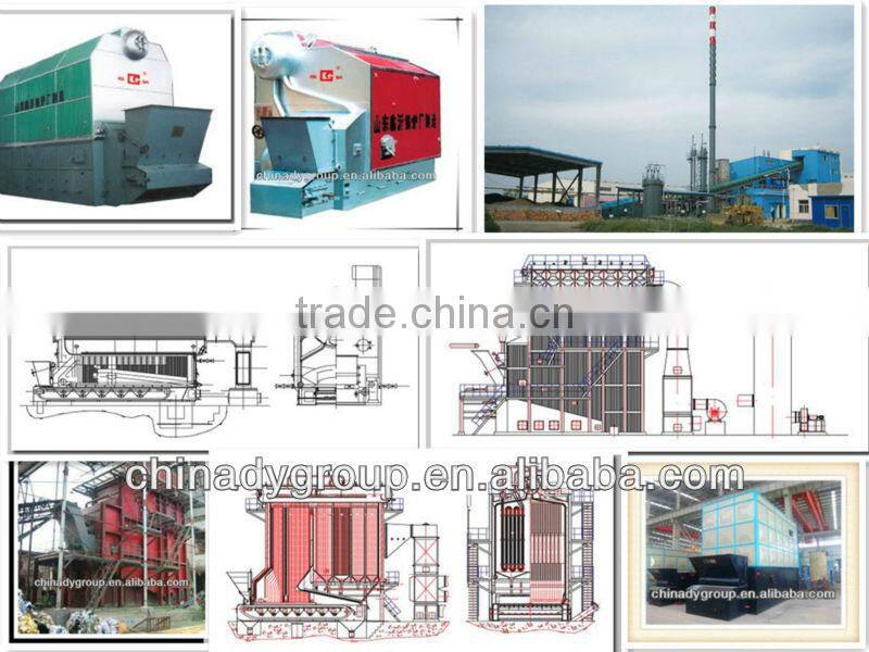 coal/oil/gas/wood fired steamboiler(DONGYUE)