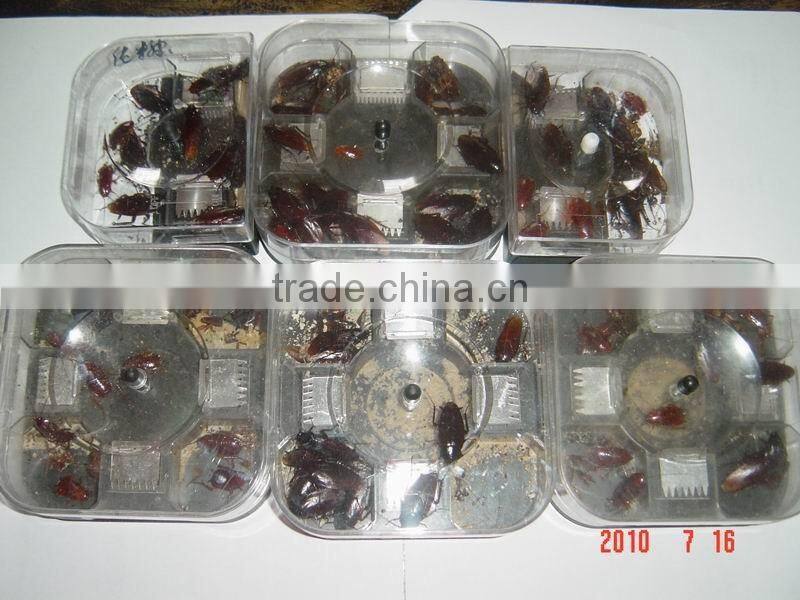 cockroach trap