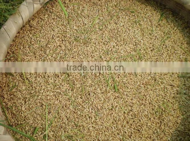 Crawler type mini grain harvester with driver seat