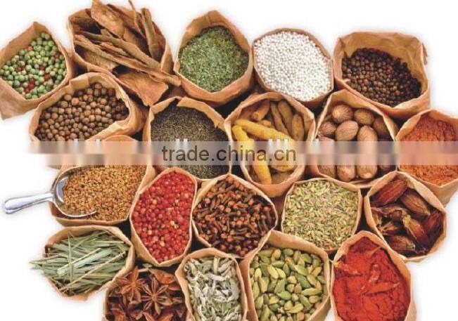 Double Win hot sell spice hammer mill,spice grinding mill,china spice hammer mill for powder