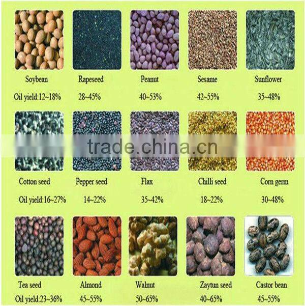 CE Approved 30TDP small scale peanut oil processing plant