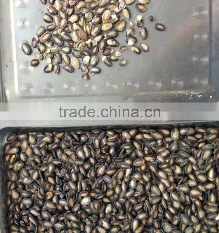 Grains Processing Watermelon Seed Color Sorting Machine