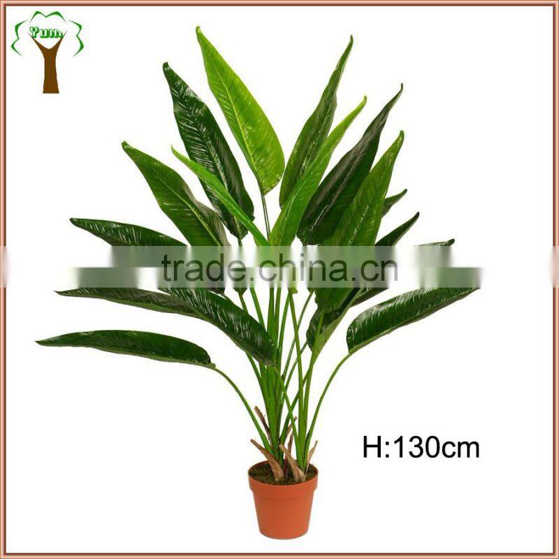 Medium artificial traveller banana plant