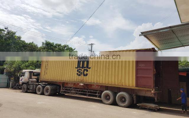 Egg Noodle - DUY ANH FOODS