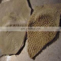 Stainless Steel cow and sheep Low tripe washer,tripe cleaning machine