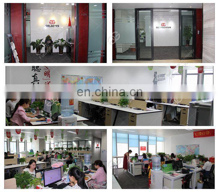 Oversea Abroad Indian Canada Automatic Vegetable Stuffing Soup Dumpling Maker Dumpling Making Machine Price