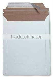 Ecofriendly Paper Envelop