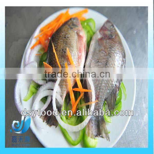 Frozen fresh small whole round red tilapia