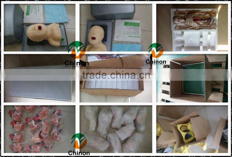 17cm ChineseTroditional Massage Foot Model