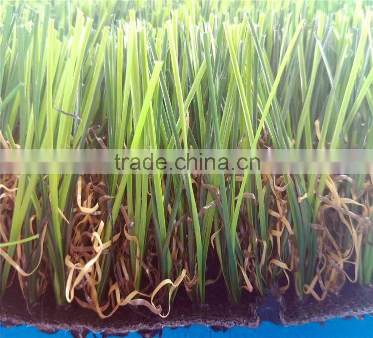 High quality outdoor landscaping grass