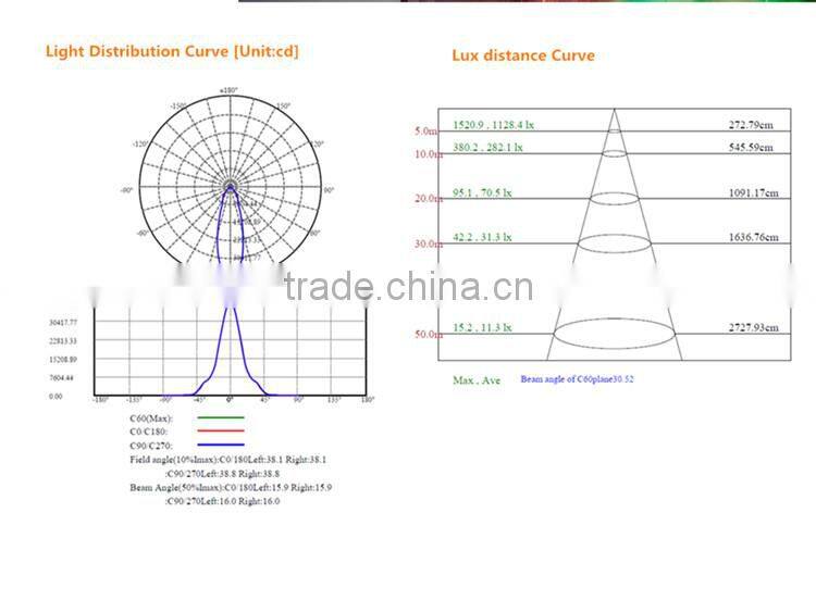 2016 New Patent Citizen COB LED Flood Light 100w