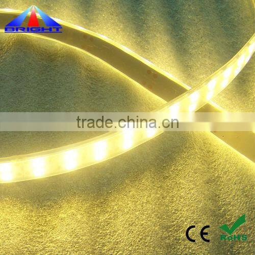 Blue color IP 65 waterproof DIP LED Strip 5MM