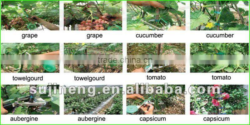 Hand held tying tools tapetool