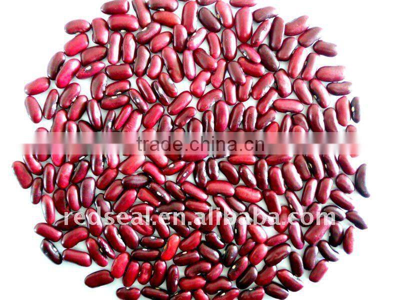 Dark red kidney beans for sale