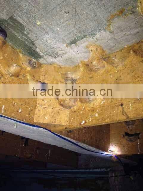 100% Pure Unprocessed Edible Bird Nest