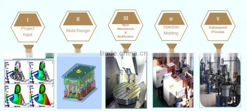 Customized Injection Mold