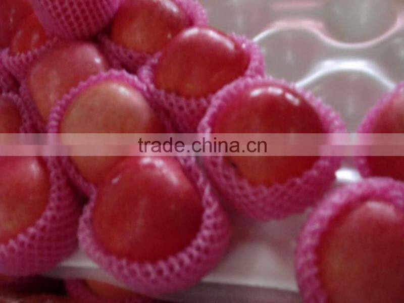 red fuji apple fresh fuji apple fresh red apple prices