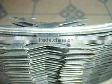 Flat Razor Wire Mesh Fence (ISO9001) Factory