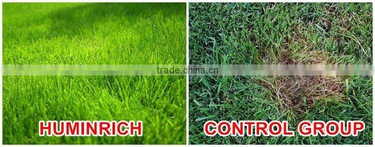 Huminrich Controlled Release Type Nitro Humic Acid