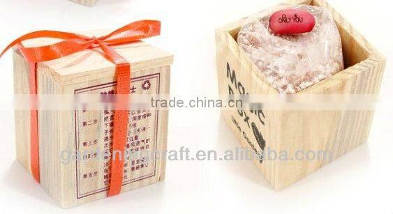 import china products bonsai tree magic growing message beans