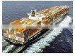 high quality sea shipping service in China