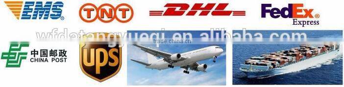 wholesale china diy kit case