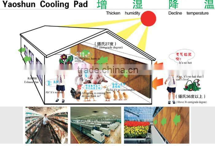 yaoshun exhaust fan/cooling pad/air inlet/light filter/poultry house equipment