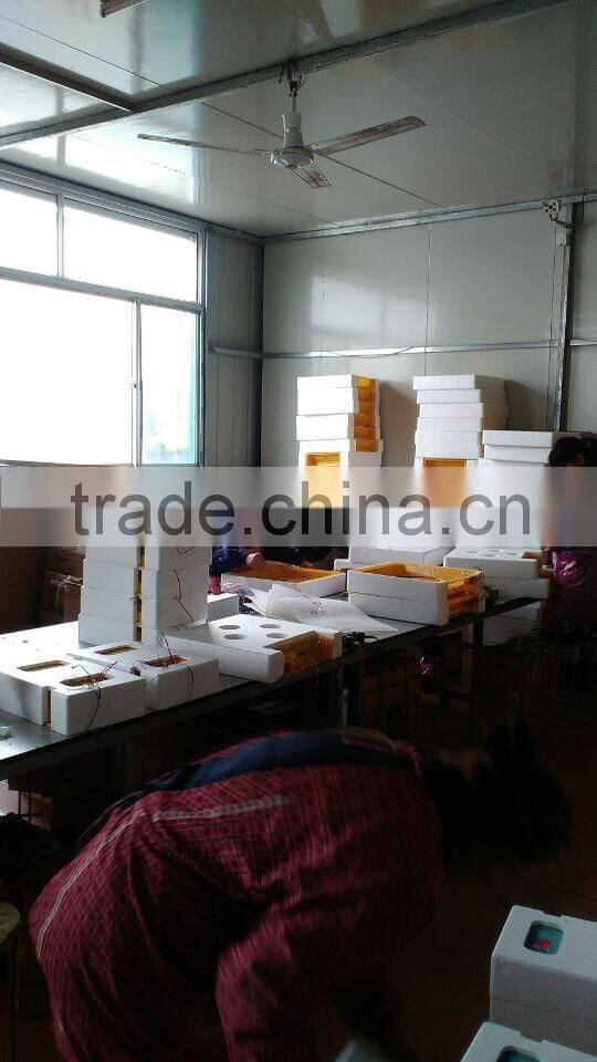 2014 top selling 9 eggs mini quail egg incubator for sale with CE approved ZH-9(12V)