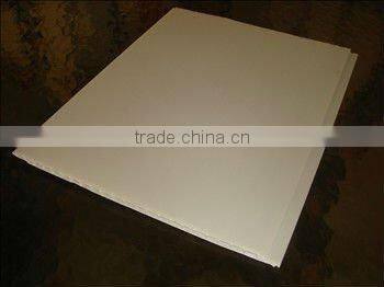 25cm width Raw White PVC panel