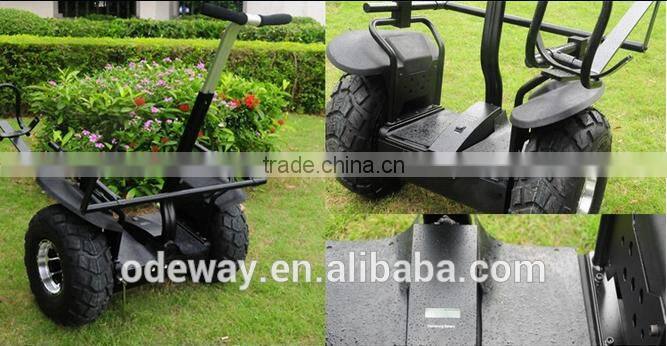 I9 inch Golf Eco self balance friendly design 2 wheel golf scooter low price electric chariot scooter