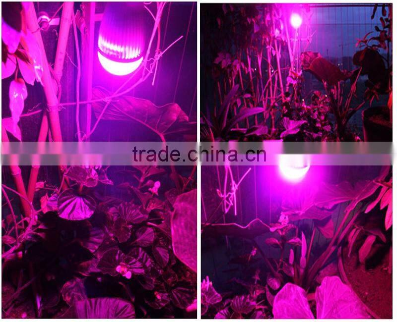 High power 3w indoor light for salads and garden herbs 3w led grow lights