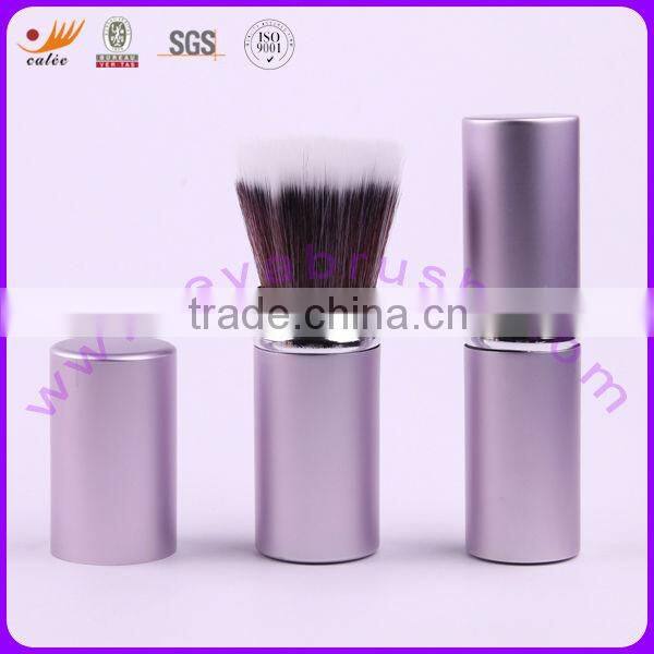 Professional retractable power brush