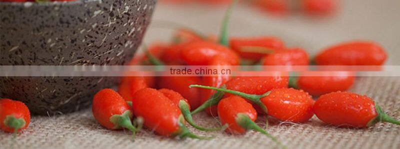 HOT SALE organic certification bulk goji berries/wolfberry from China/wholesale red goji