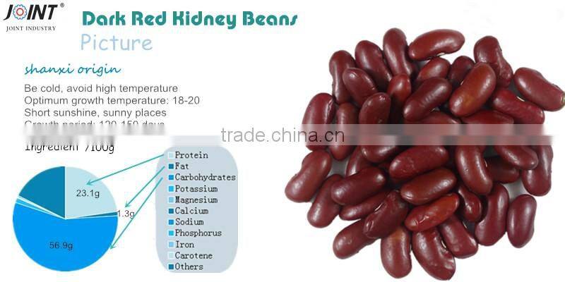 good quality chinese canned red kidney beans