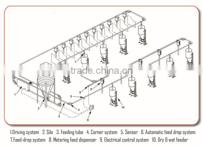 pig animal farming / farm equipment