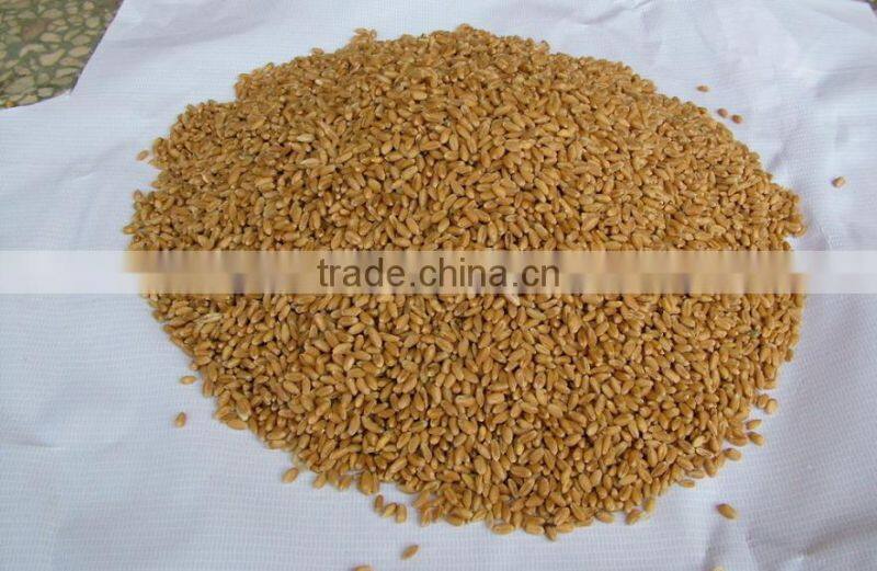 factory direct sale best quality sewing machine trolley bag