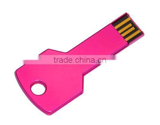 Metal USB Key Shape In Tin Box Package